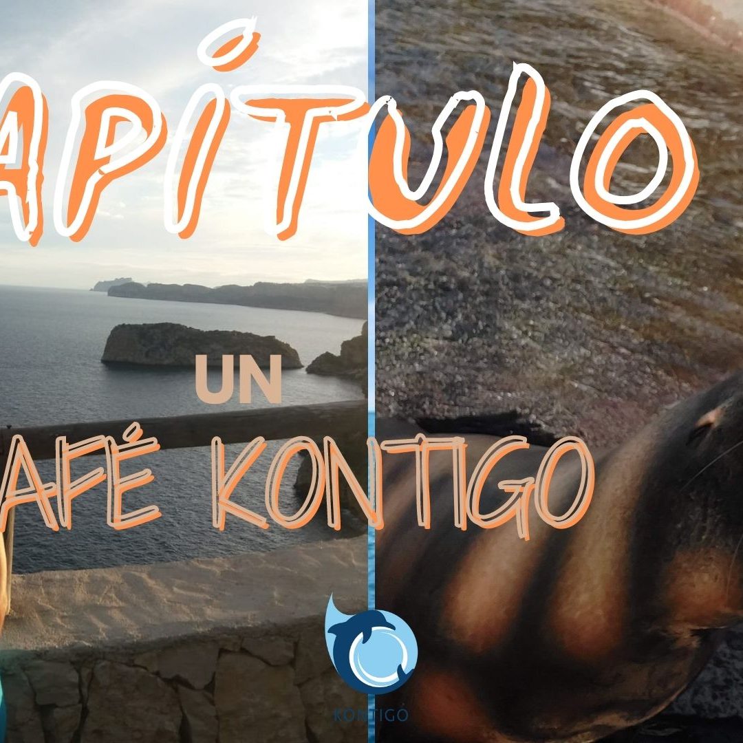 Café Kontigo: Con Alba Oltra, psicóloga. Sobre psicología del aprendizaje animal, ecosistemas marinos y fauna del estrecho