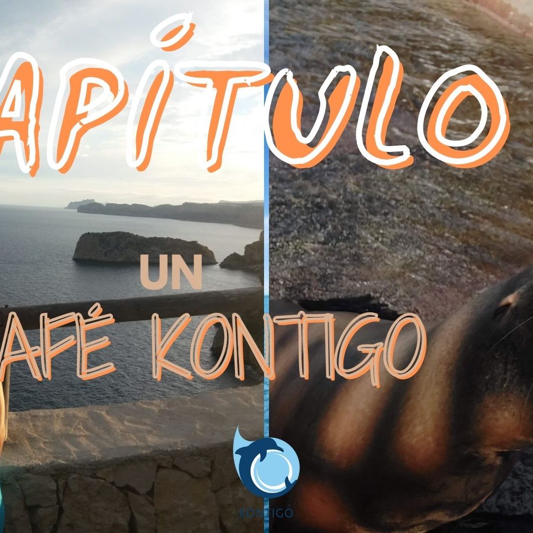 Café Kontigo 1: Psicología animal y humana.,