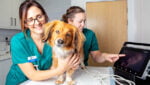 Orientación laboral en áreas de veterinaria y zoología