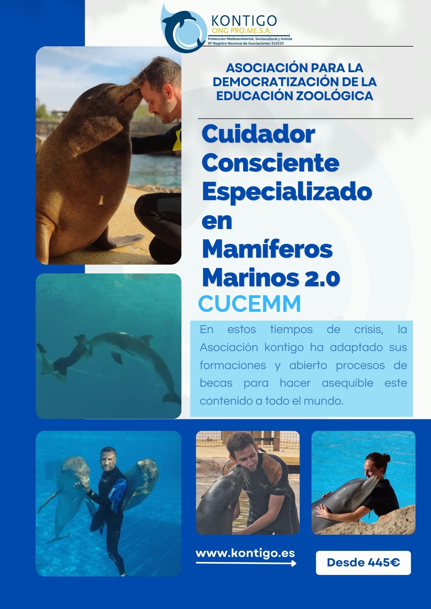 Curso de entrenador de mamíferos marinos