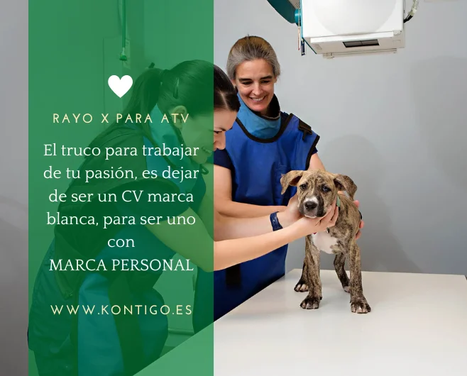 Auxiliar veterinario especializado en Rayos X